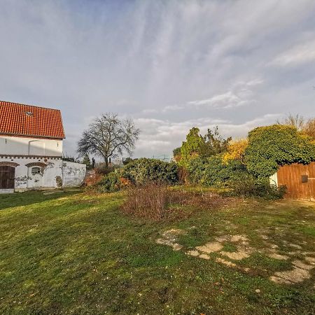 Apartment In Herrenhaus Gross Pinnow 외부 사진